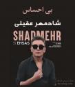 download_ahang_bi_ehsas_shadmehr_aghili (1)